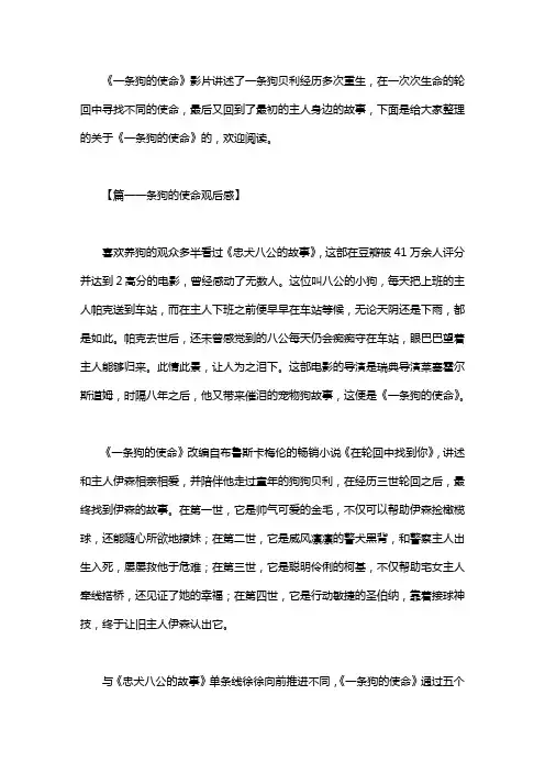 《一条狗的使命》观后感6篇