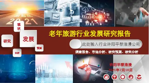 老年旅游市场分析研究报告ppt