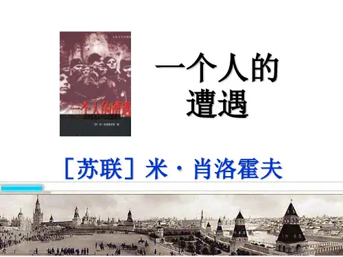 《一个人的遭遇》课件1