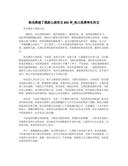 阳光照进了我的心房作文800字_初三优秀学生作文