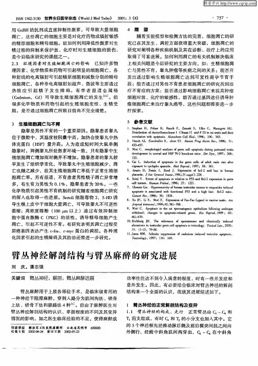 臂丛神经解剖结构与臂丛麻醉的研究进展
