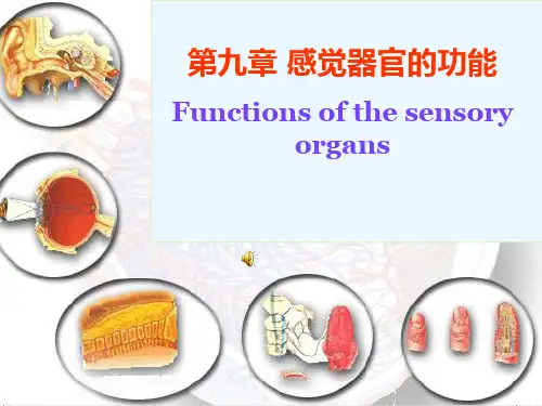 医学生理学：感觉器官的功能