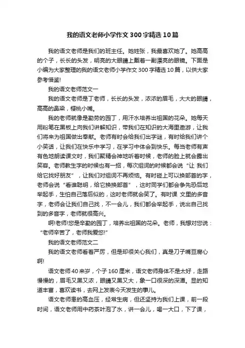 我的语文老师小学作文300字精选10篇