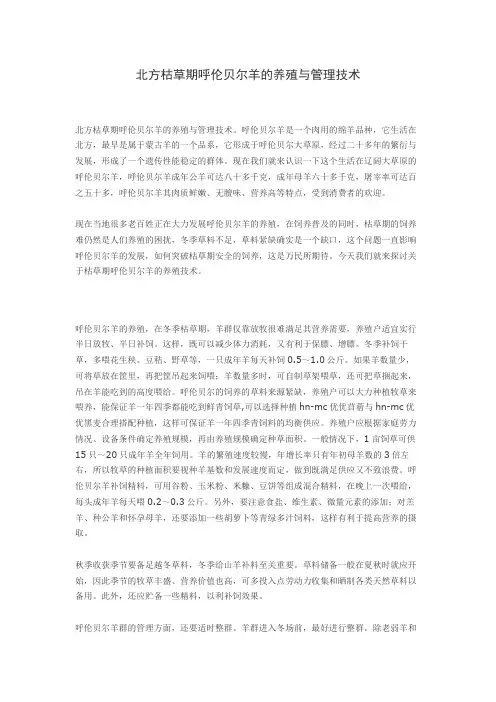 北方枯草期呼伦贝尔羊的养殖与管理技术