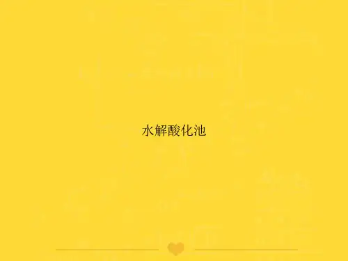 【推选】水解酸化池PPT文档