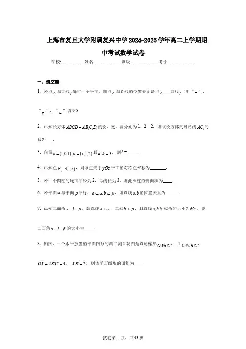 上海市复旦大学附属复兴中学2024-2025学年高二上学期期中考试数学试卷