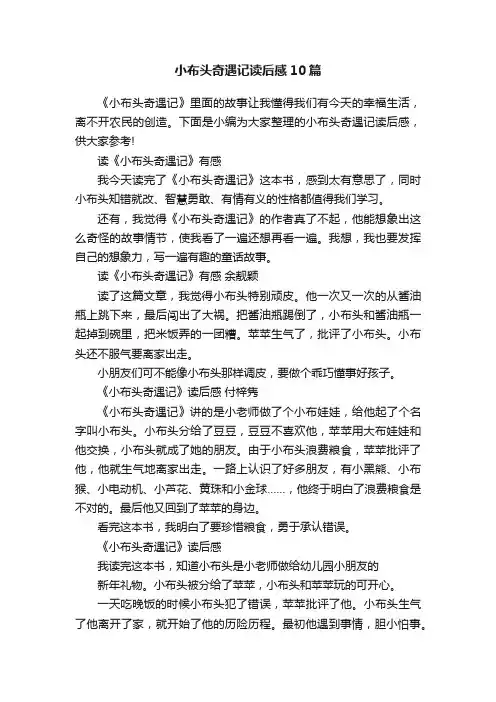 小布头奇遇记读后感10篇
