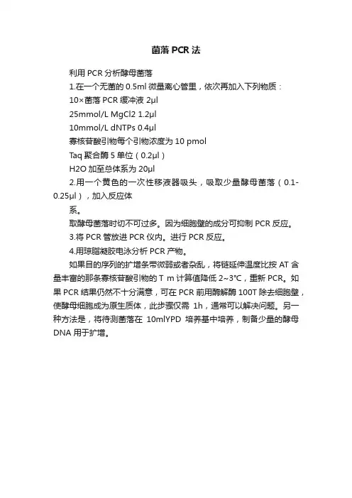 菌落PCR法