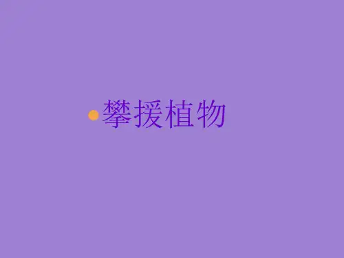攀援植物