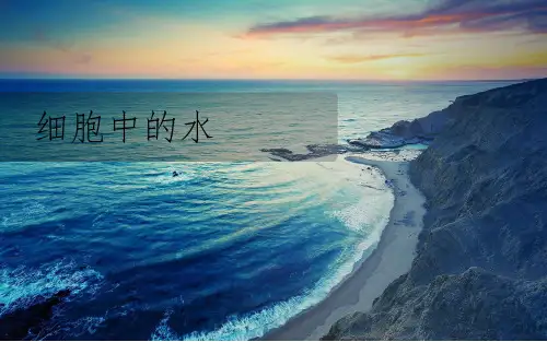 人教版高中生物复习课件：细胞中的水 (共11张PPT)