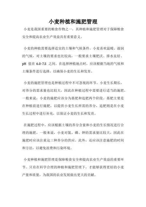 小麦种植和施肥管理