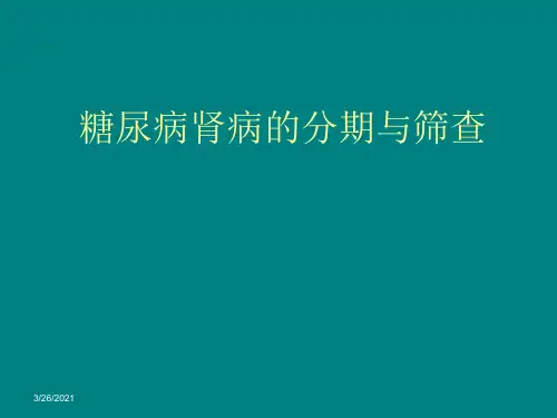 糖尿病肾病分期 (2)ppt课件
