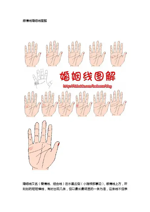 感情线婚姻线图解