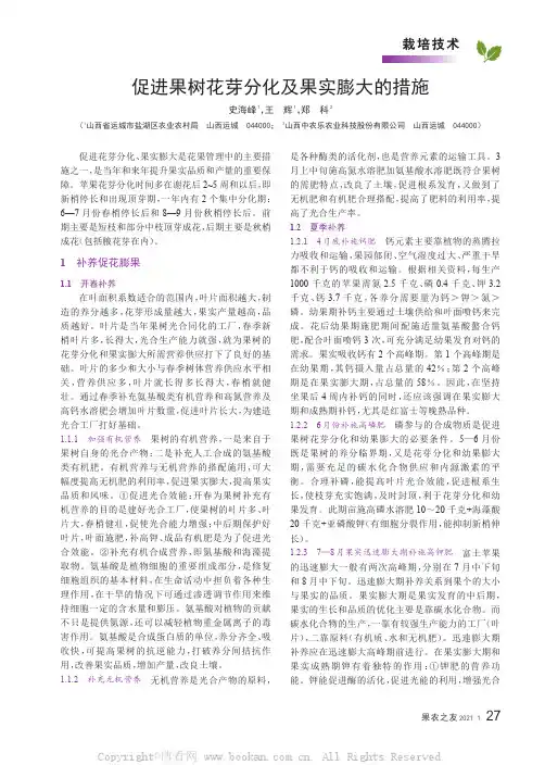 促进果树花芽分化及果实膨大的措施