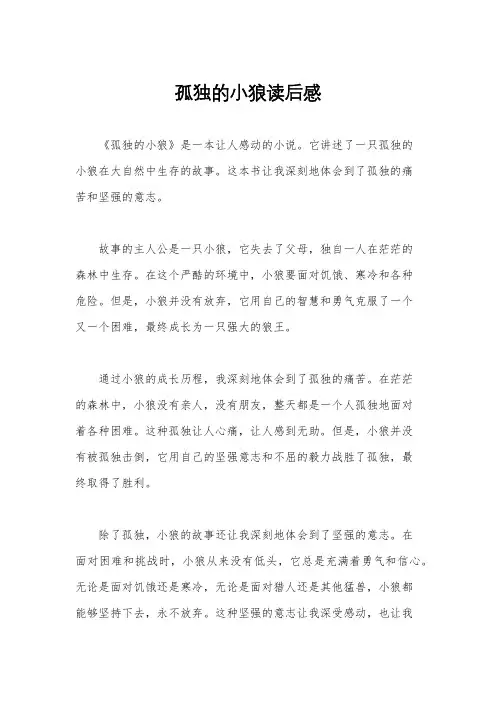 孤独的小狼读后感