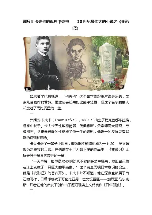 那只叫卡夫卡的孤独甲壳虫——20世纪最伟大的小说之《变形记》