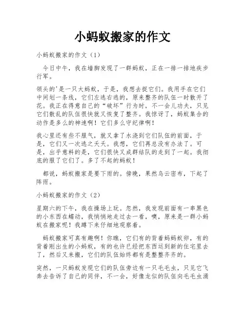小蚂蚁搬家的作文