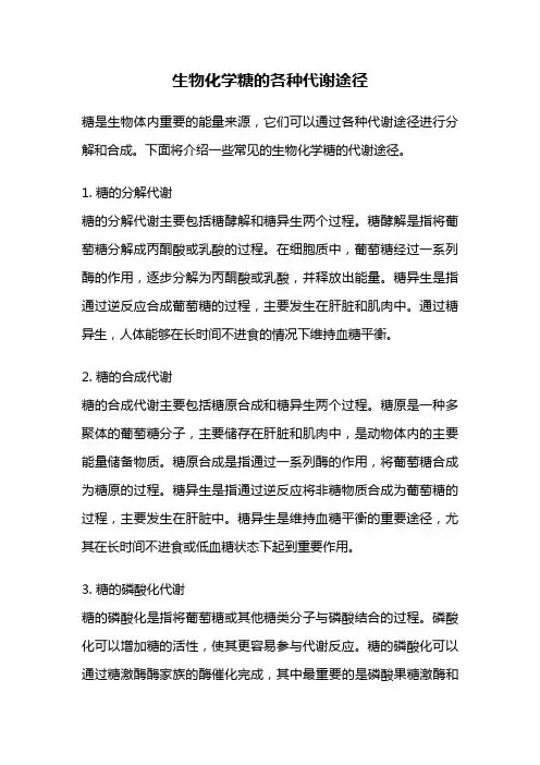 生物化学糖的各种代谢途径