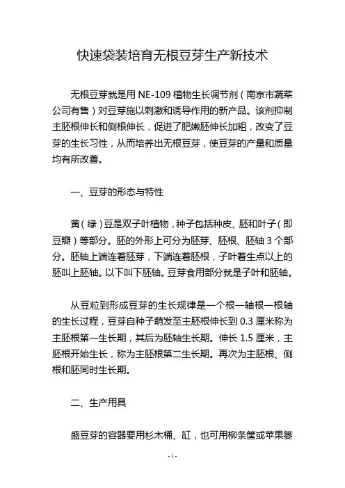 快速袋装培育无根豆芽生产新技术
