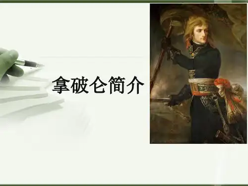 拿破仑简介