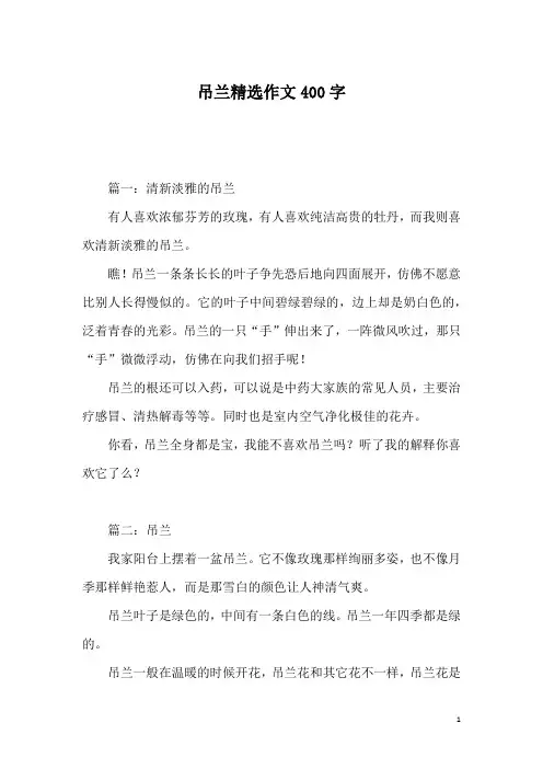 吊兰精选作文400字
