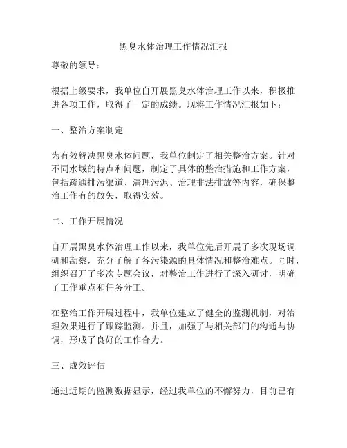 黑臭水体治理工作情况汇报