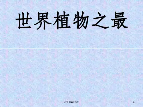 世界植物之最ppt课件