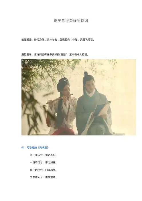 遇见你很美好的诗词