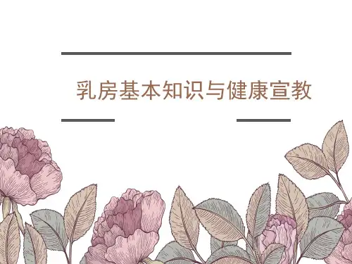乳房基本知识与健康宣教