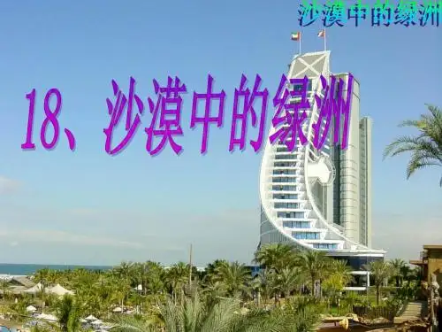 《沙漠中的绿洲》PPT课件4