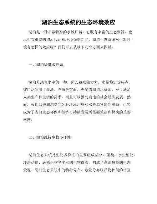 湖泊生态系统的生态环境效应