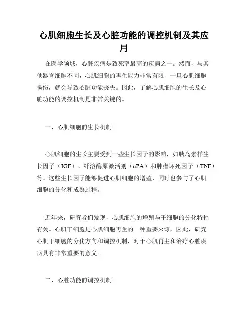 心肌细胞生长及心脏功能的调控机制及其应用
