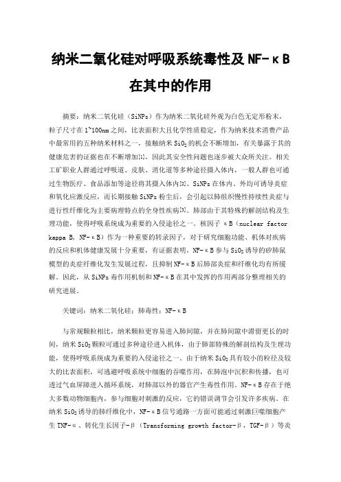 纳米二氧化硅对呼吸系统毒性及NF-κB在其中的作用