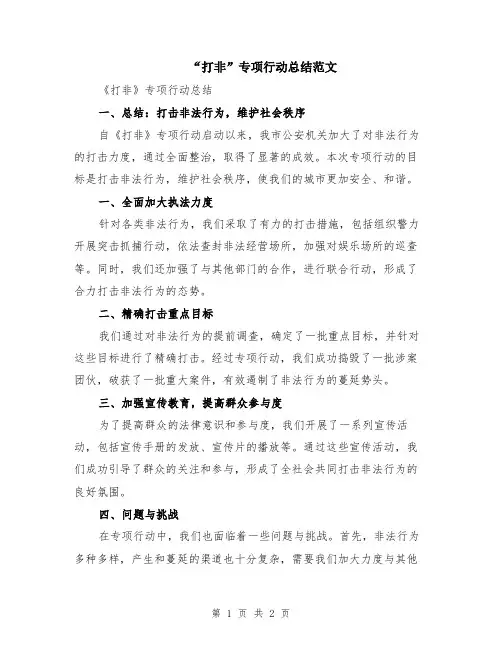 “打非”专项行动总结范文