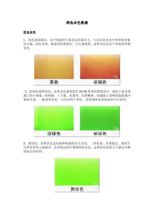 养鱼水色图谱