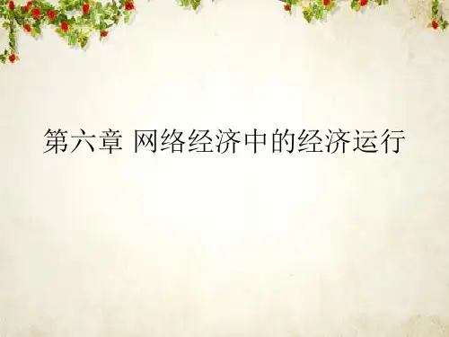 网络经济中的经济运行(PPT 108页)