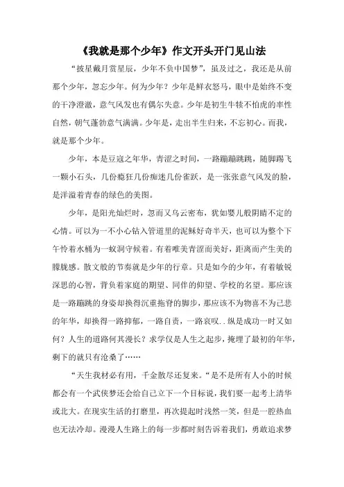 《我就是那个少年》作文开头开门见山法