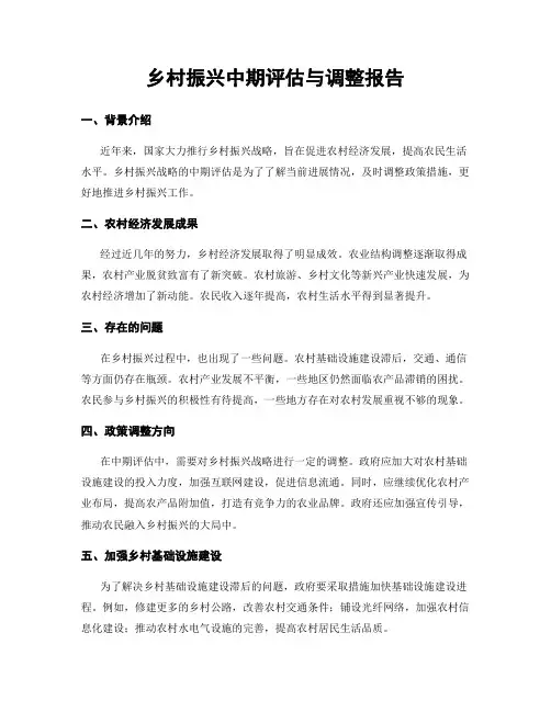 乡村振兴中期评估与调整报告