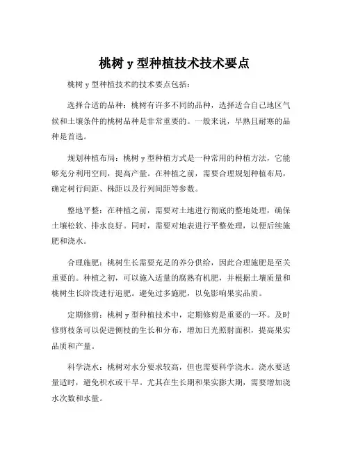 桃树y型种植技术技术要点