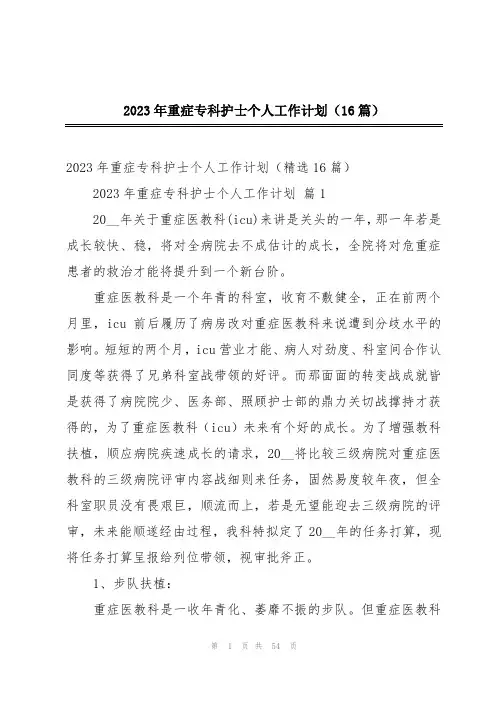 2023年重症专科护士个人工作计划(16篇)