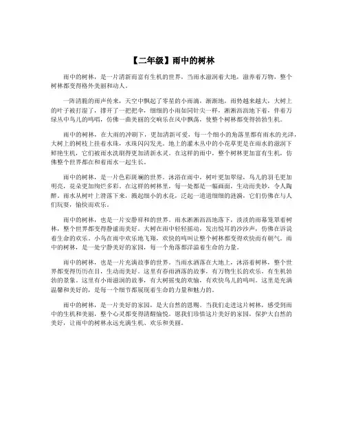 【二年级】雨中的树林
