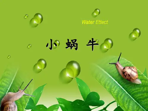《小蜗牛》部编版完美PPT2
