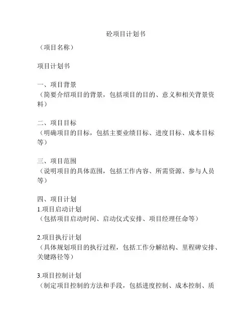 砼项目计划书