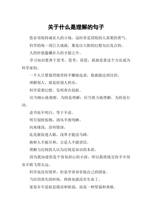 关于什么是理解的句子