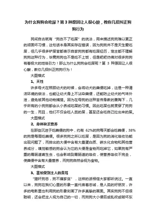 为什么狗狗会吃屎？第3种原因让人很心酸，教你几招纠正狗狗行为
