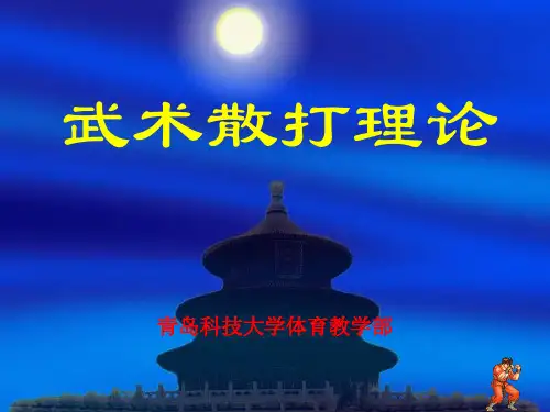 散打课件