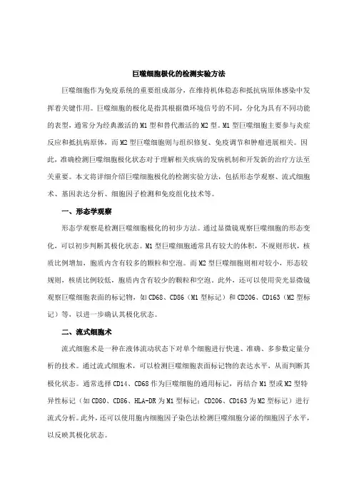 巨噬细胞极化的检测实验方法