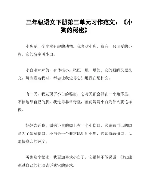 三年级语文下册第三单元习作范文：《小狗的秘密》