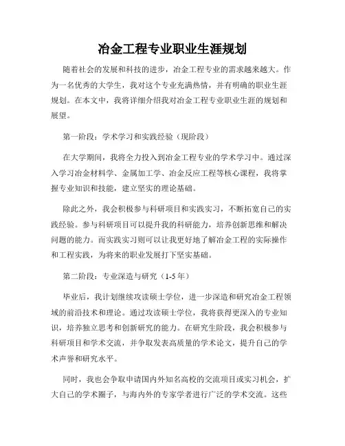 冶金工程专业职业生涯规划