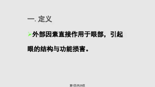眼外伤的护理PPT课件